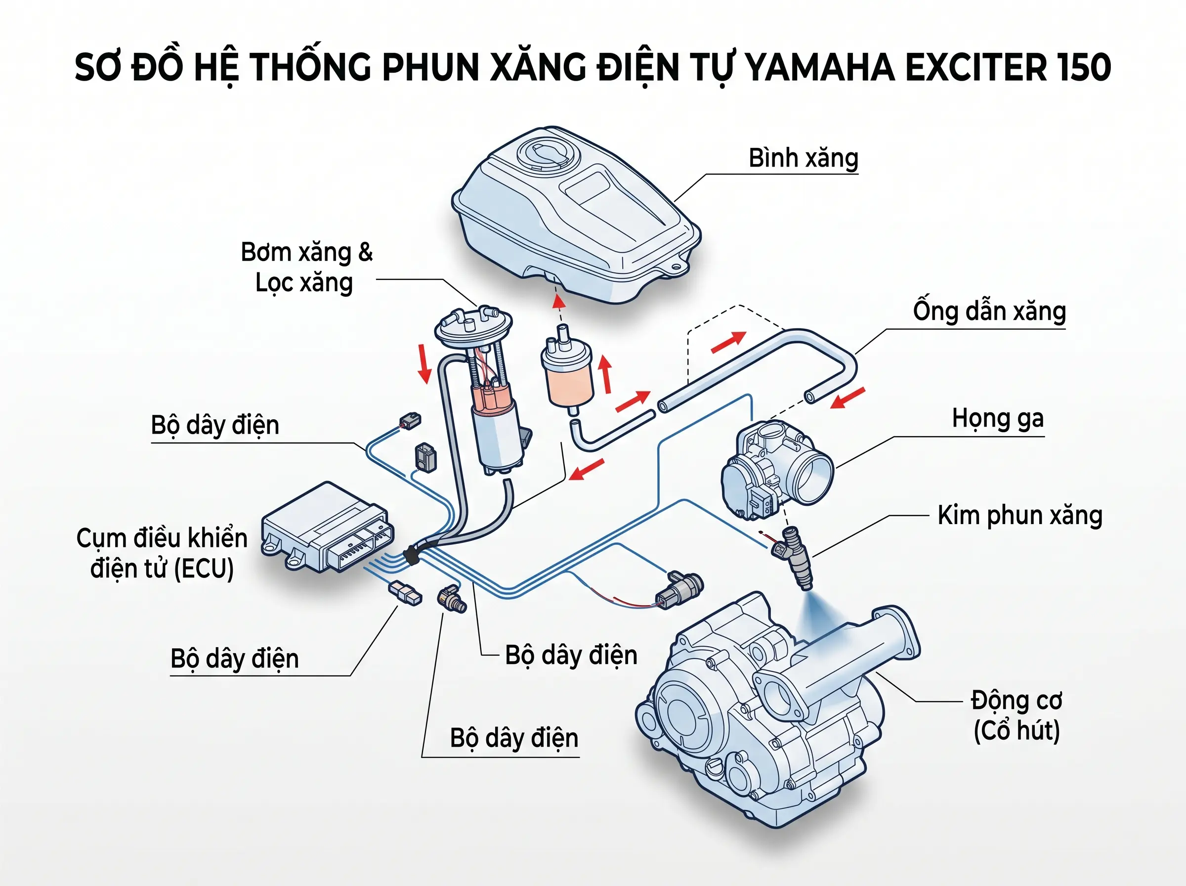 kim phun exciter là gì