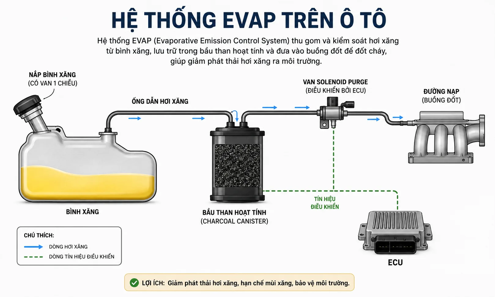 Hệ thống EVAP là gì và tại sao nó liên quan đến mùi xăng