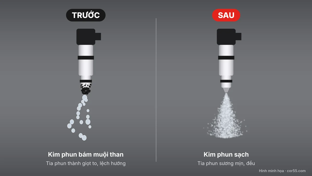 kim-phun-truoc-va-sau-khi-lam-sach-cor55
